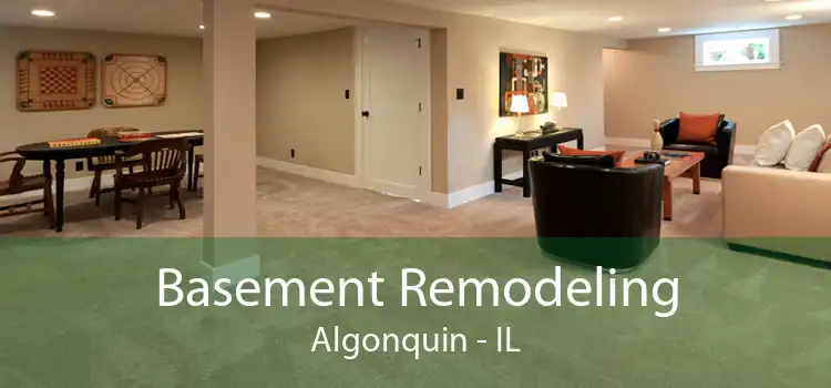 Basement Remodeling Algonquin - IL