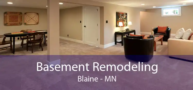 Basement Remodeling Blaine - MN