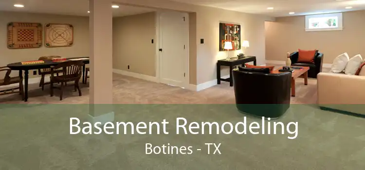 Basement Remodeling Botines - TX