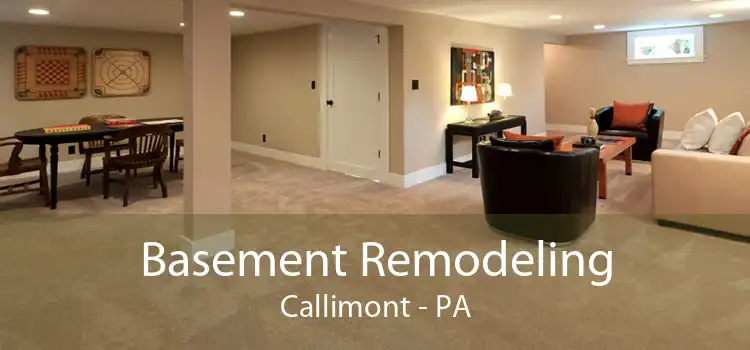 Basement Remodeling Callimont - PA
