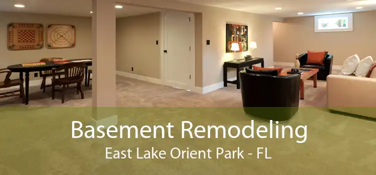 Basement Remodeling East Lake Orient Park - FL