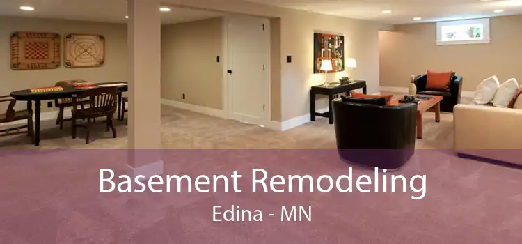 Basement Remodeling Edina - MN