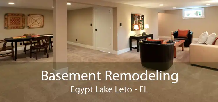 Basement Remodeling Egypt Lake Leto - FL