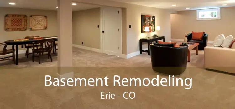 Basement Remodeling Erie - CO
