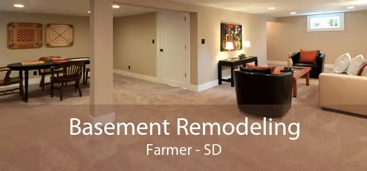 Basement Remodeling Farmer - SD