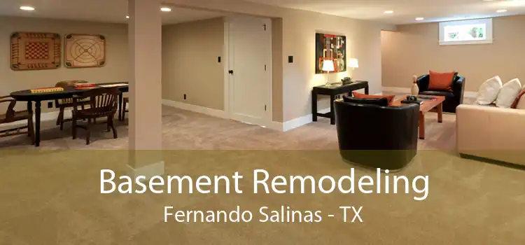 Basement Remodeling Fernando Salinas - TX