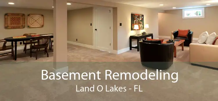 Basement Remodeling Land O Lakes - FL