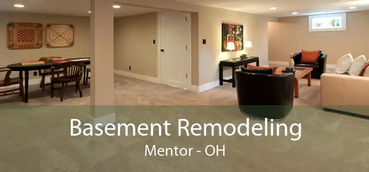 Basement Remodeling Mentor - OH