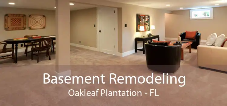 Basement Remodeling Oakleaf Plantation - FL