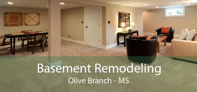 Basement Remodeling Olive Branch - MS