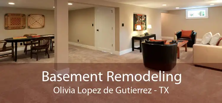Basement Remodeling Olivia Lopez de Gutierrez - TX