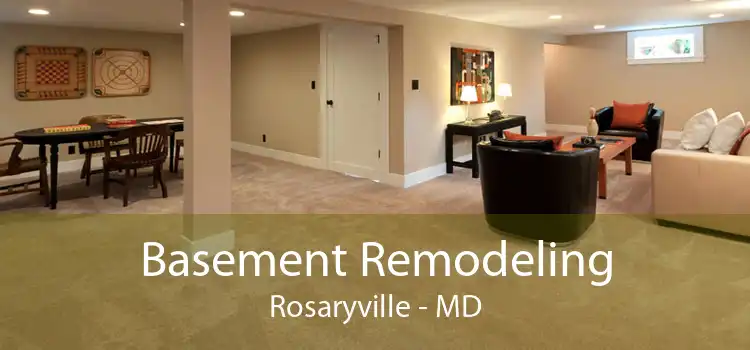 Basement Remodeling Rosaryville - MD