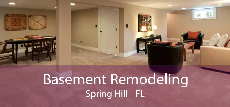 Basement Remodeling Spring Hill - FL
