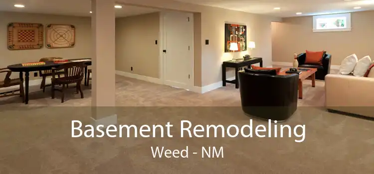 Basement Remodeling Weed - NM