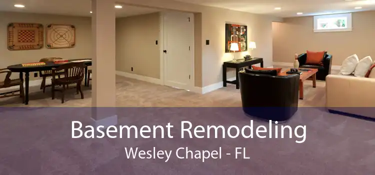 Basement Remodeling Wesley Chapel - FL