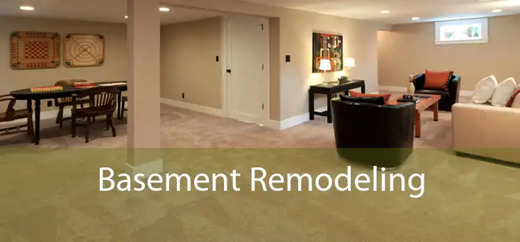 Basement Remodeling 