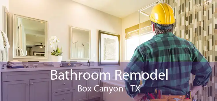 Bathroom Remodel Box Canyon - TX