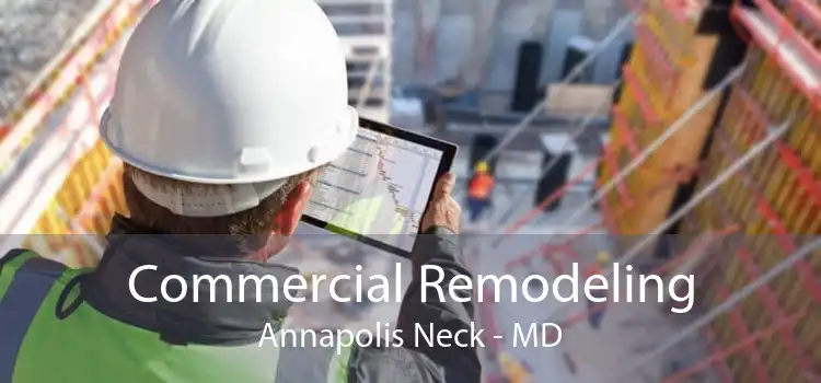 Commercial Remodeling Annapolis Neck - MD