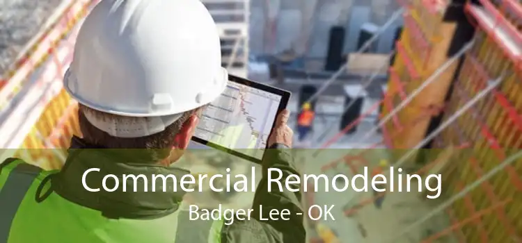 Commercial Remodeling Badger Lee - OK