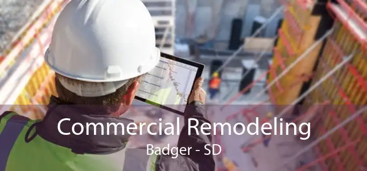 Commercial Remodeling Badger - SD