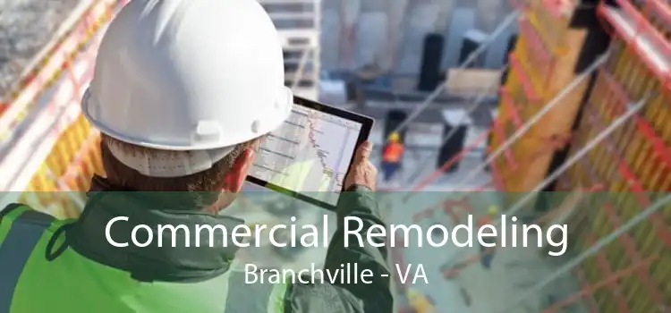 Commercial Remodeling Branchville - VA