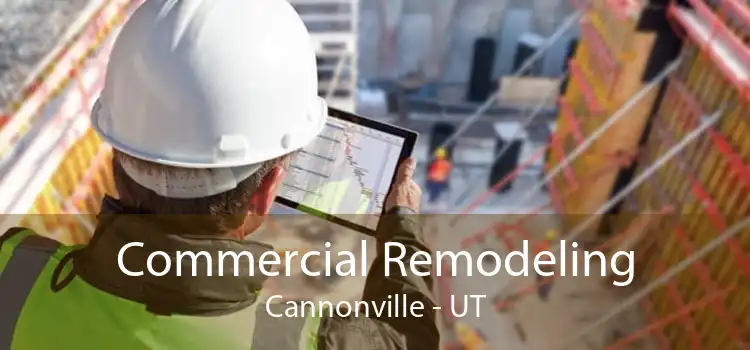 Commercial Remodeling Cannonville - UT