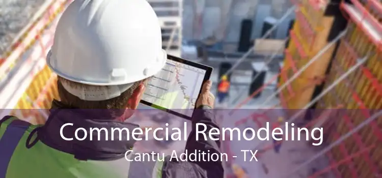 Commercial Remodeling Cantu Addition - TX