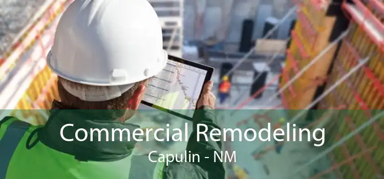 Commercial Remodeling Capulin - NM