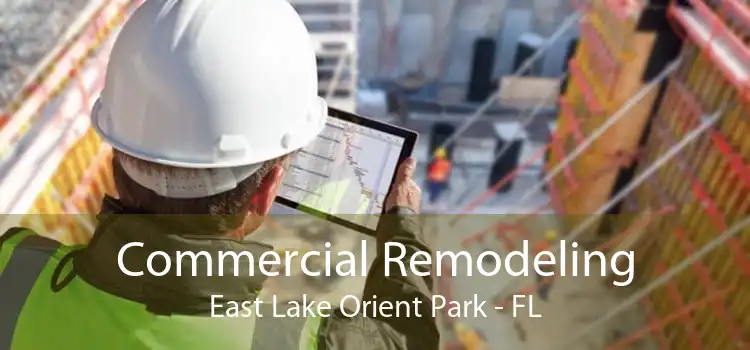 Commercial Remodeling East Lake Orient Park - FL
