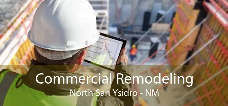 Commercial Remodeling North San Ysidro - NM