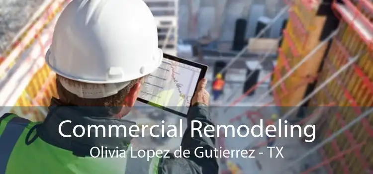 Commercial Remodeling Olivia Lopez de Gutierrez - TX