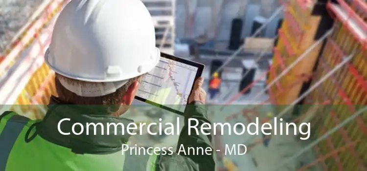 Commercial Remodeling Princess Anne - MD