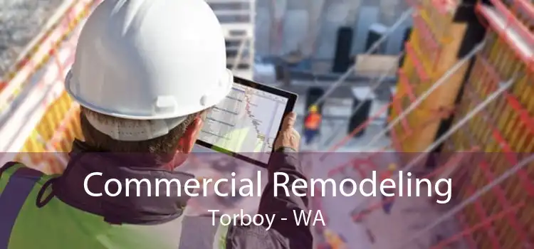 Commercial Remodeling Torboy - WA