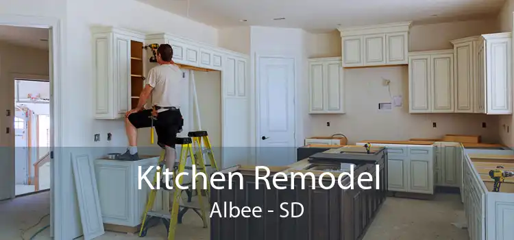 Kitchen Remodel Albee - SD