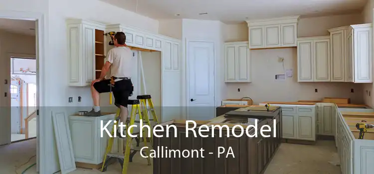 Kitchen Remodel Callimont - PA