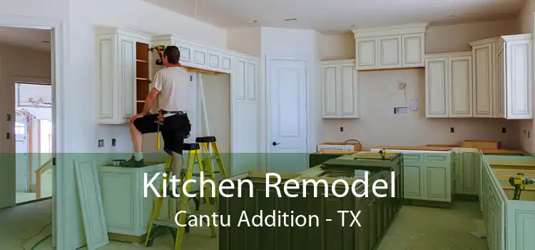 Kitchen Remodel Cantu Addition - TX