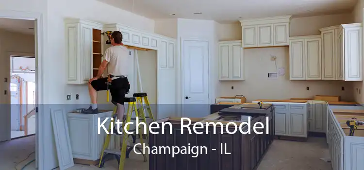 Kitchen Remodel Champaign - IL