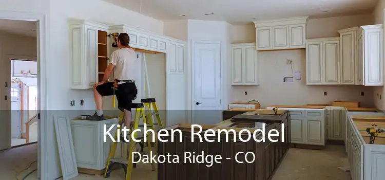 Kitchen Remodel Dakota Ridge - CO