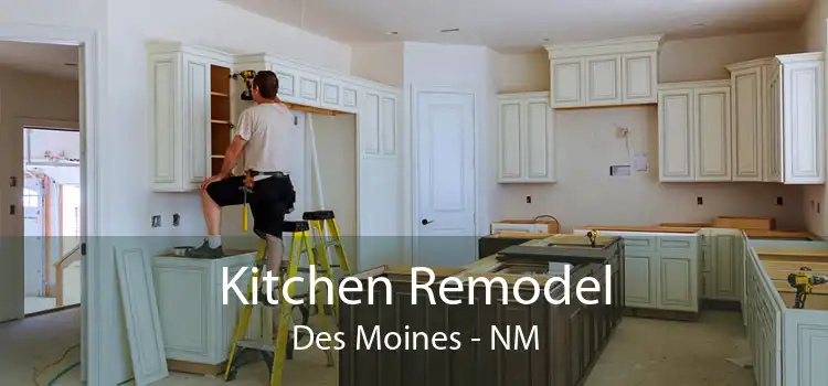 Kitchen Remodel Des Moines - NM