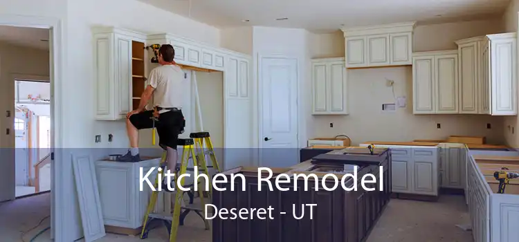 Kitchen Remodel Deseret - UT