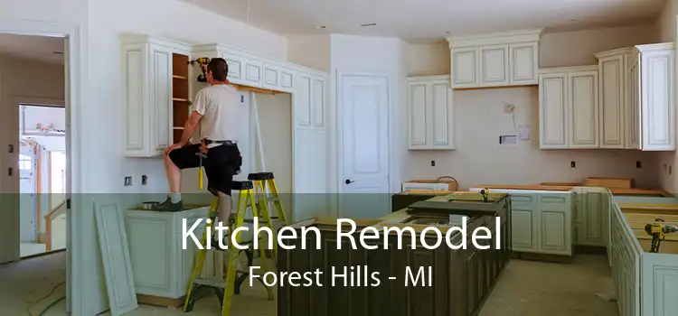 Kitchen Remodel Forest Hills - MI