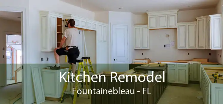 Kitchen Remodel Fountainebleau - FL