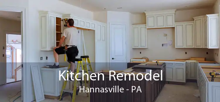 Kitchen Remodel Hannasville - PA