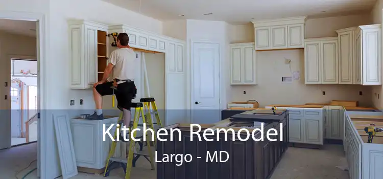 Kitchen Remodel Largo - MD