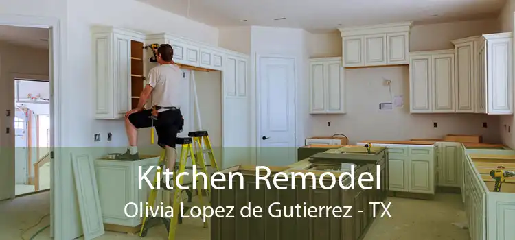 Kitchen Remodel Olivia Lopez de Gutierrez - TX
