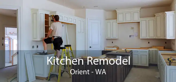 Kitchen Remodel Orient - WA