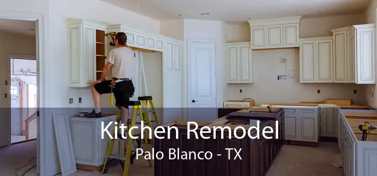 Kitchen Remodel Palo Blanco - TX