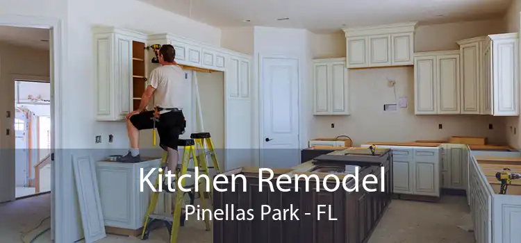 Kitchen Remodel Pinellas Park - FL
