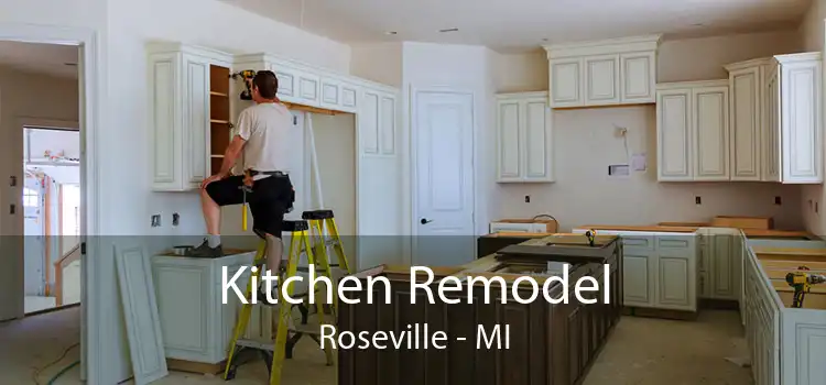 Kitchen Remodel Roseville - MI