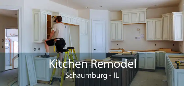 Kitchen Remodel Schaumburg - IL